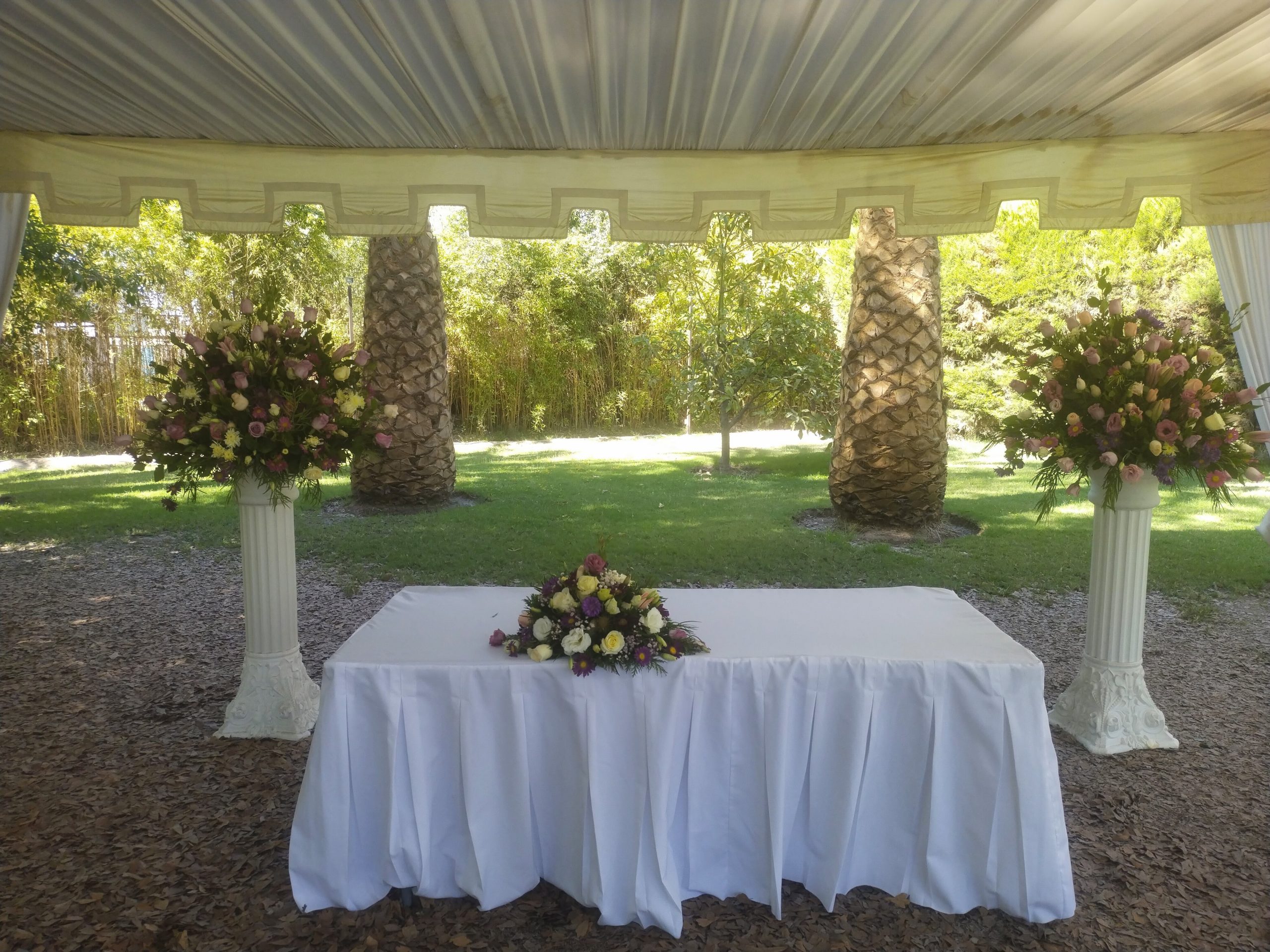 IMG_20220218_165416-1